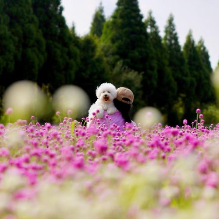 くじゅう花公園　キャンピングリゾート花と星 Kuju ภายนอก รูปภาพ