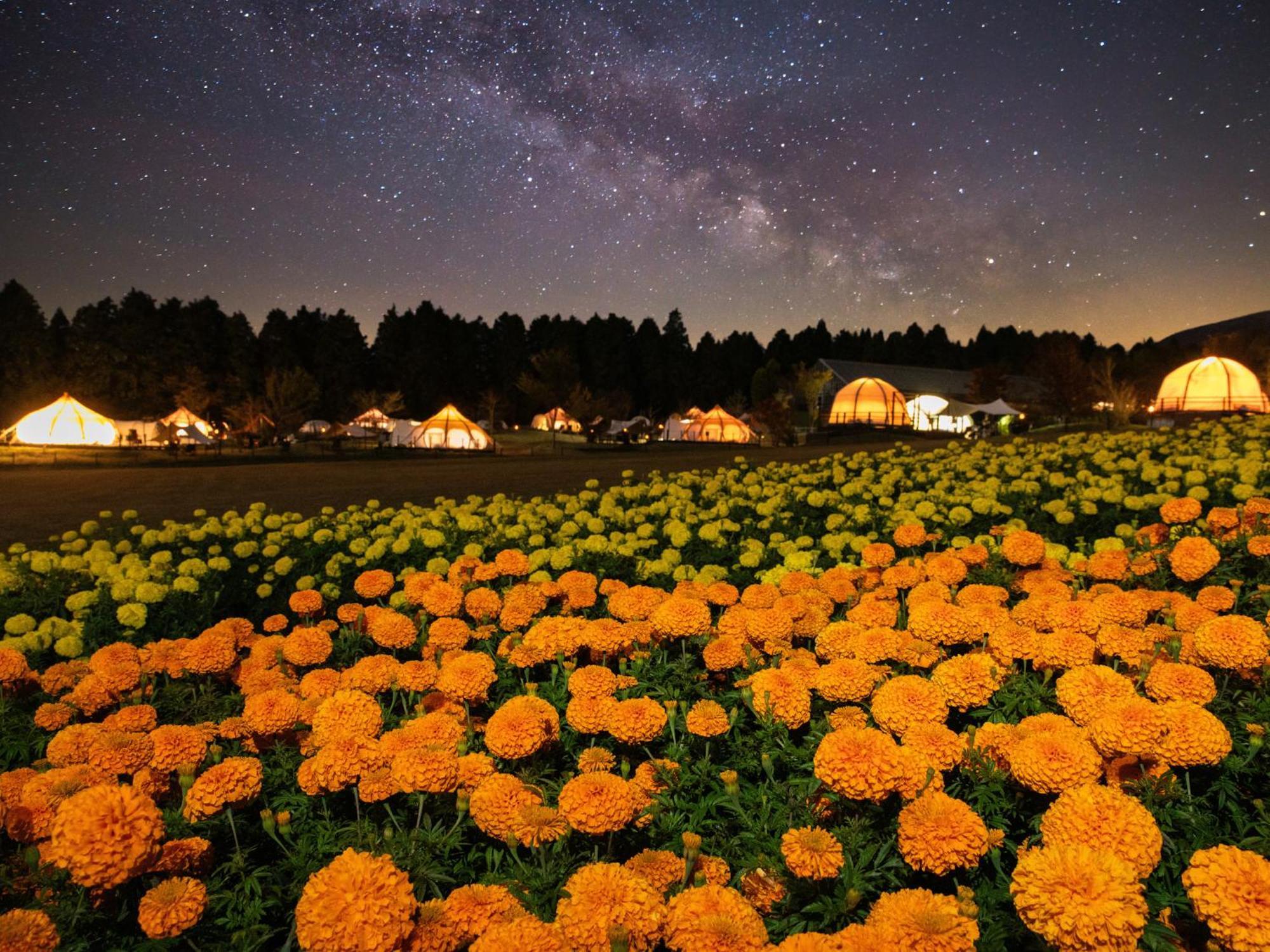 くじゅう花公園　キャンピングリゾート花と星 Kuju ภายนอก รูปภาพ
