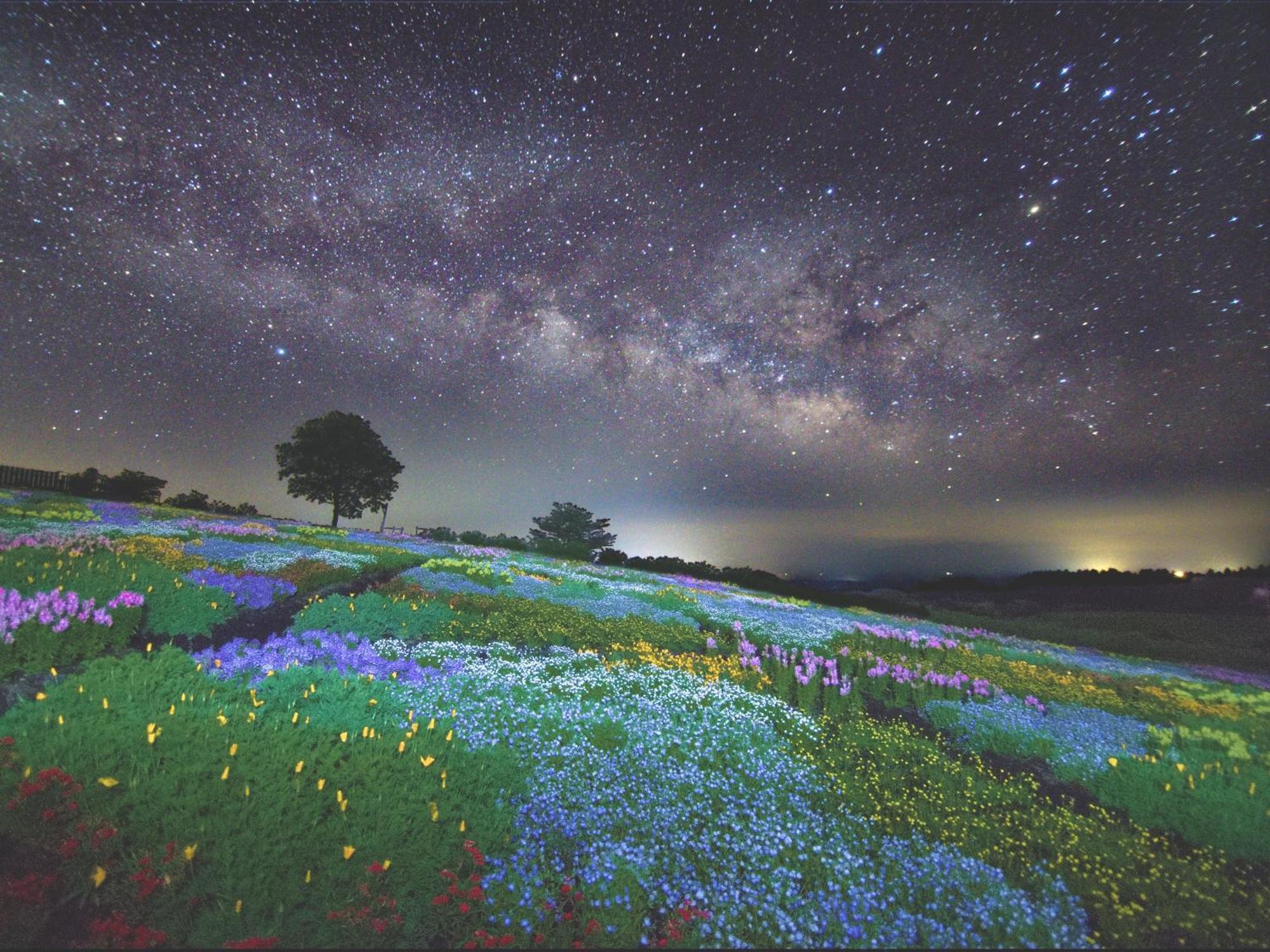 くじゅう花公園　キャンピングリゾート花と星 Kuju ภายนอก รูปภาพ