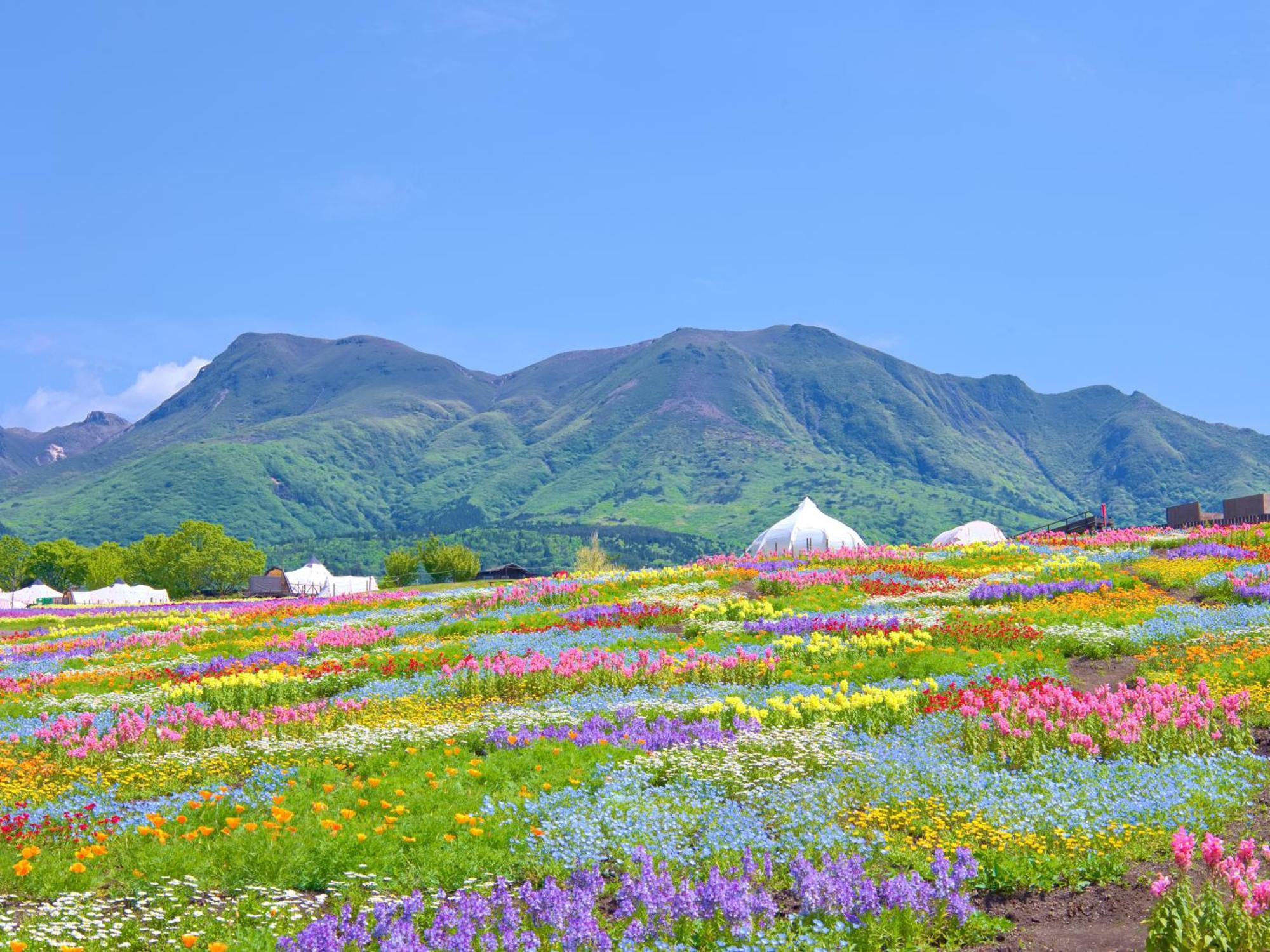 くじゅう花公園　キャンピングリゾート花と星 Kuju ภายนอก รูปภาพ