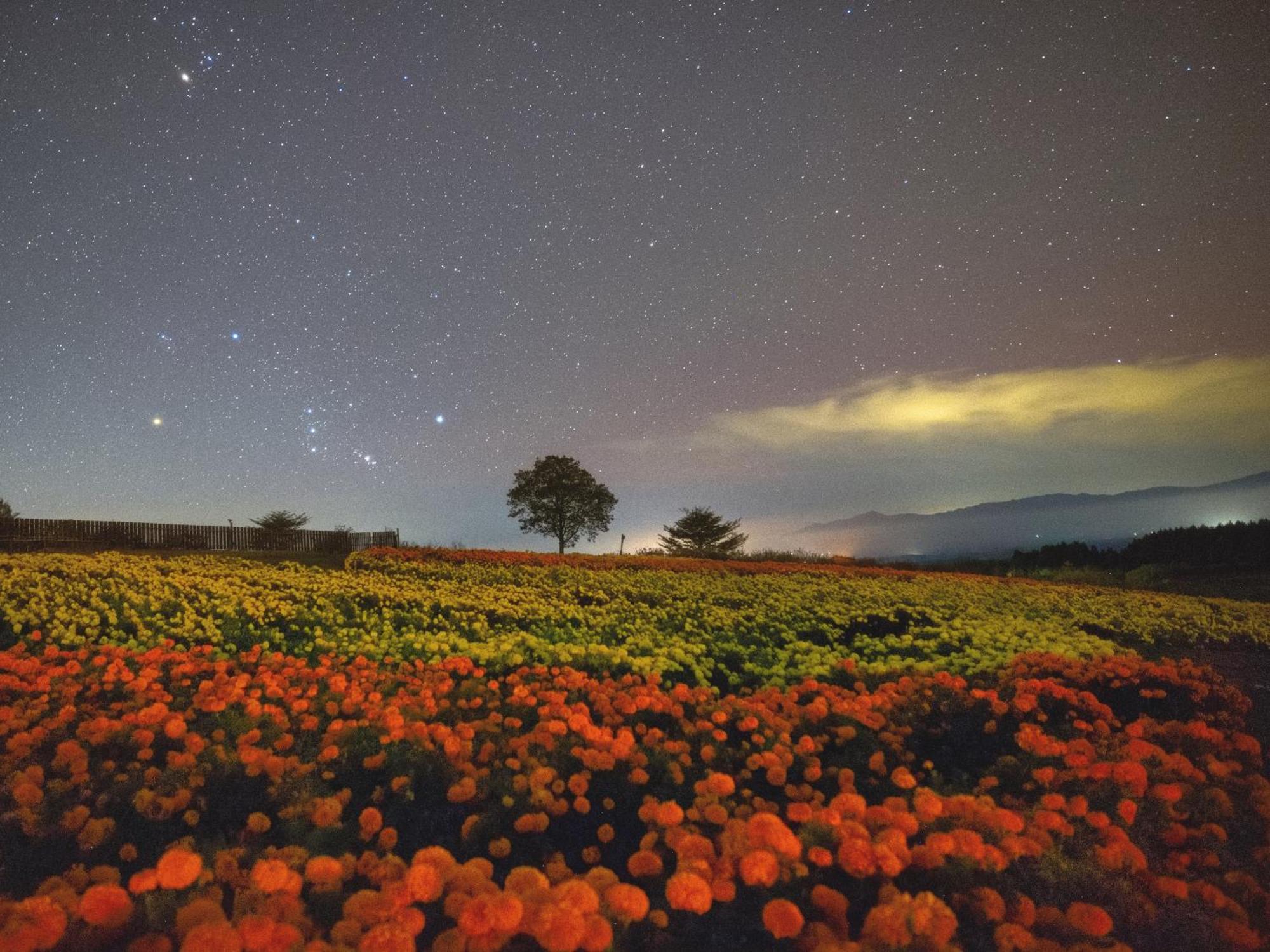 くじゅう花公園　キャンピングリゾート花と星 Kuju ภายนอก รูปภาพ