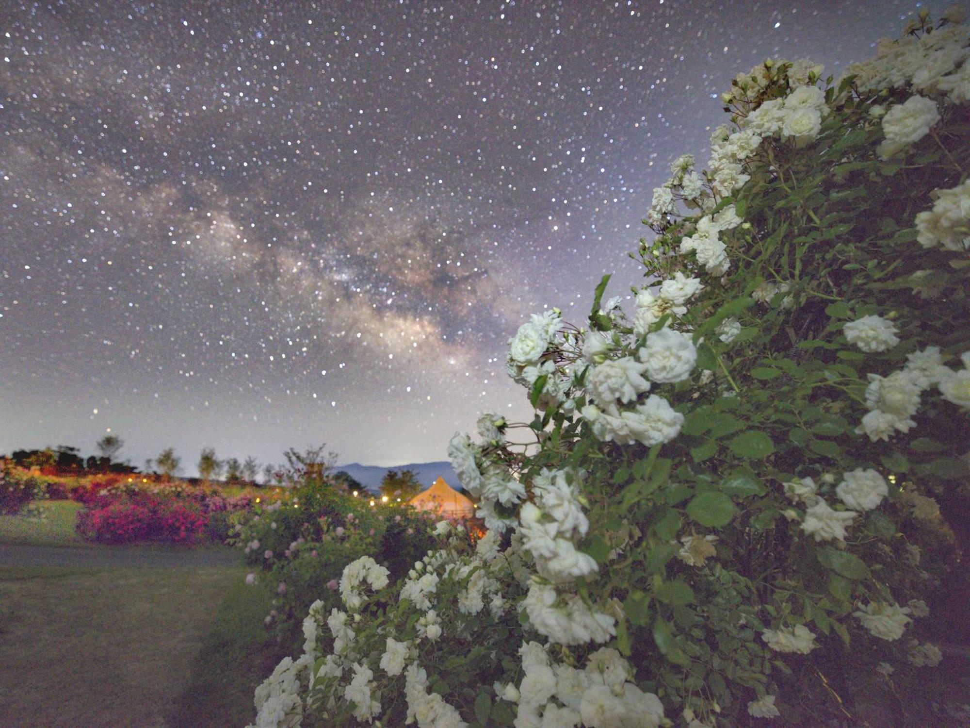 くじゅう花公園　キャンピングリゾート花と星 Kuju ภายนอก รูปภาพ