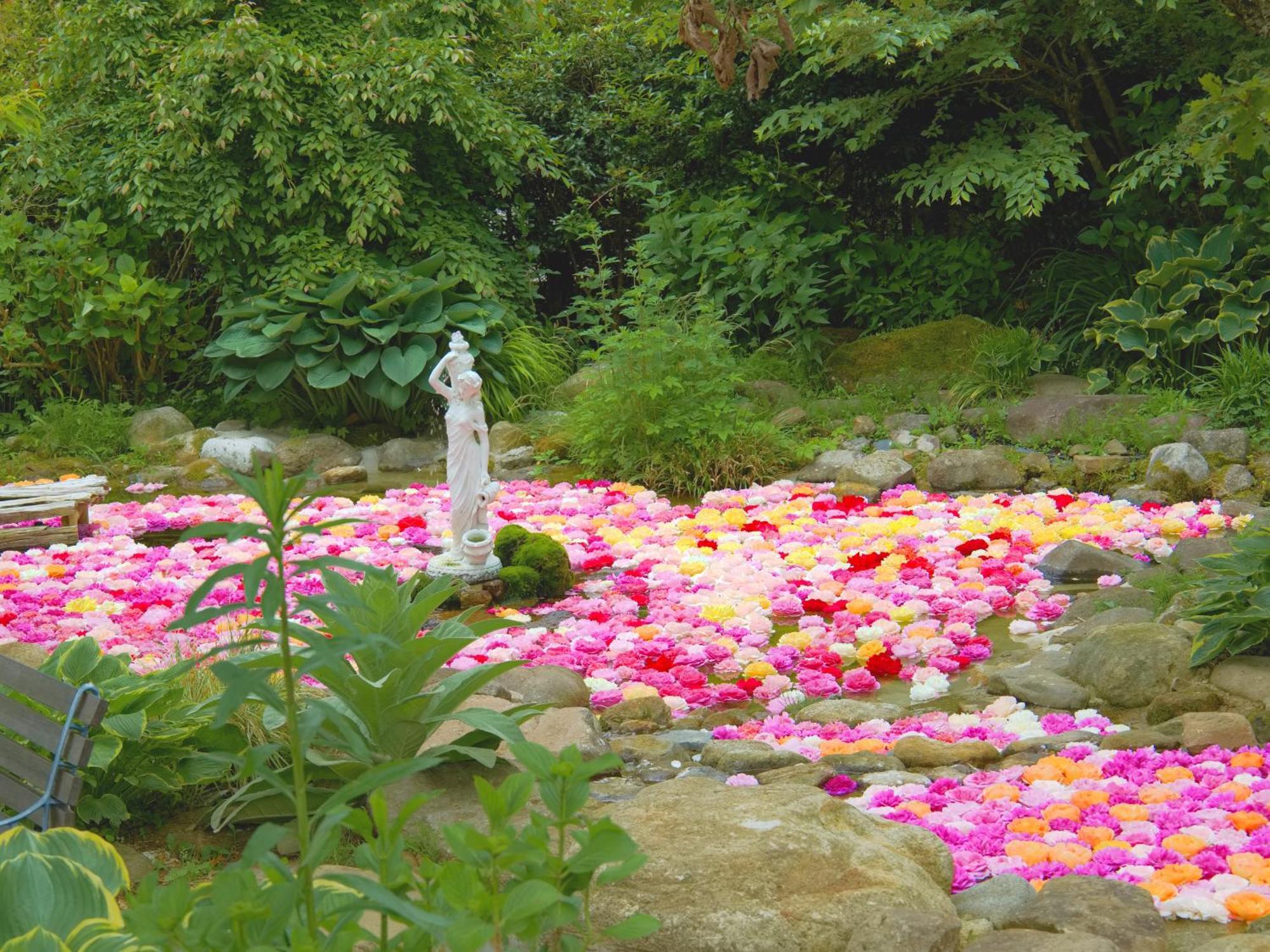 くじゅう花公園　キャンピングリゾート花と星 Kuju ภายนอก รูปภาพ