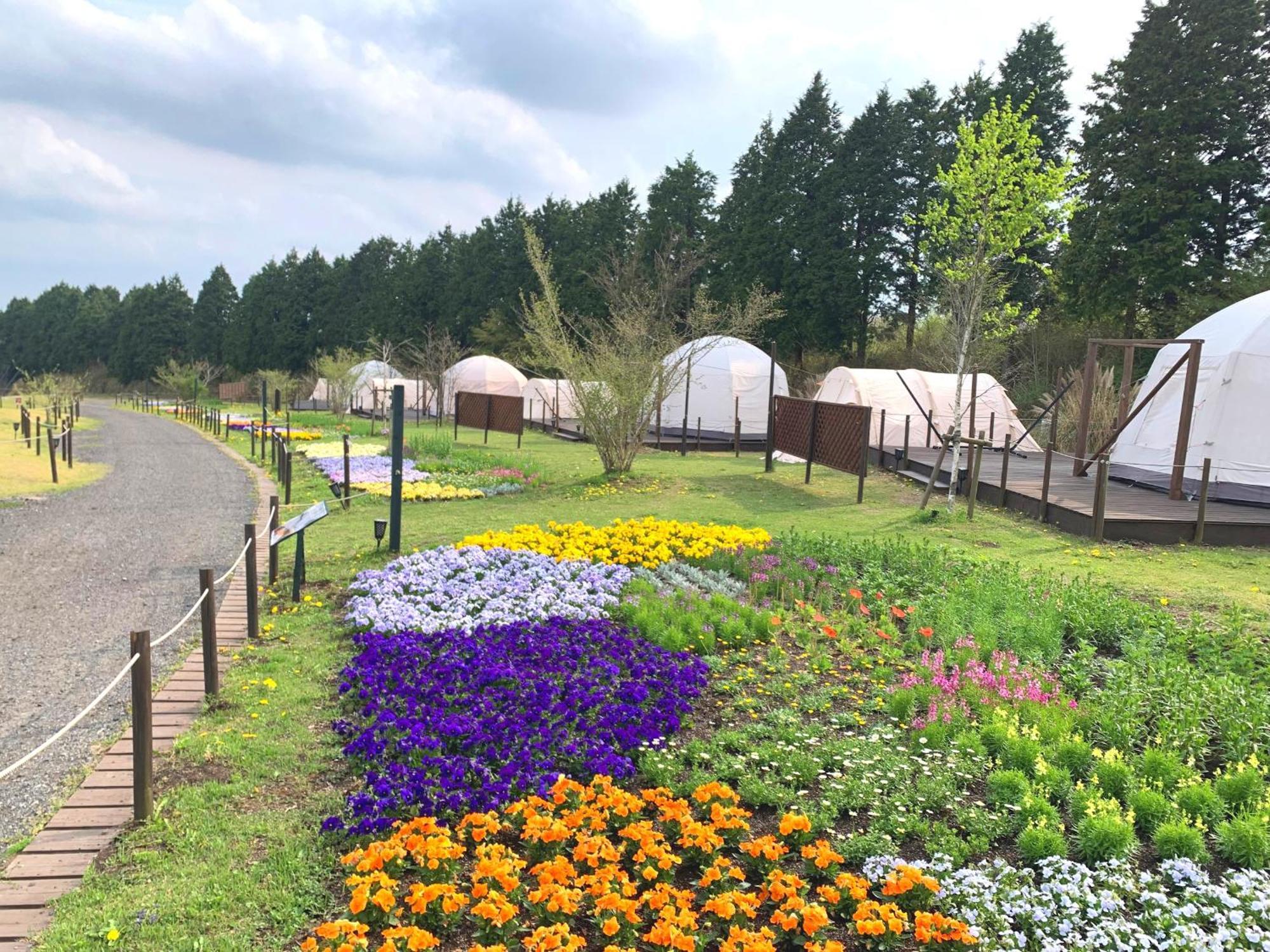 くじゅう花公園　キャンピングリゾート花と星 Kuju ภายนอก รูปภาพ