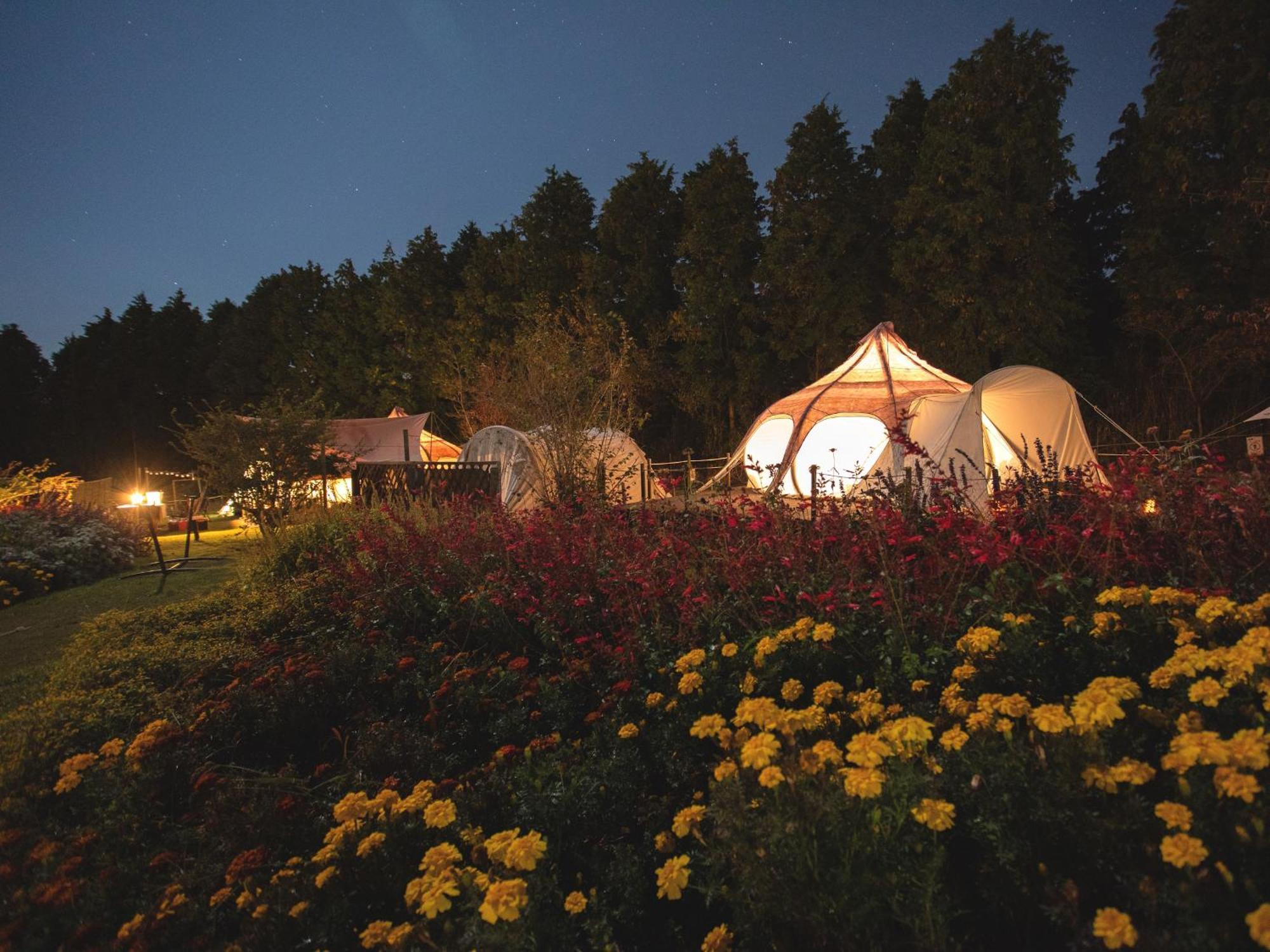 くじゅう花公園　キャンピングリゾート花と星 Kuju ภายนอก รูปภาพ