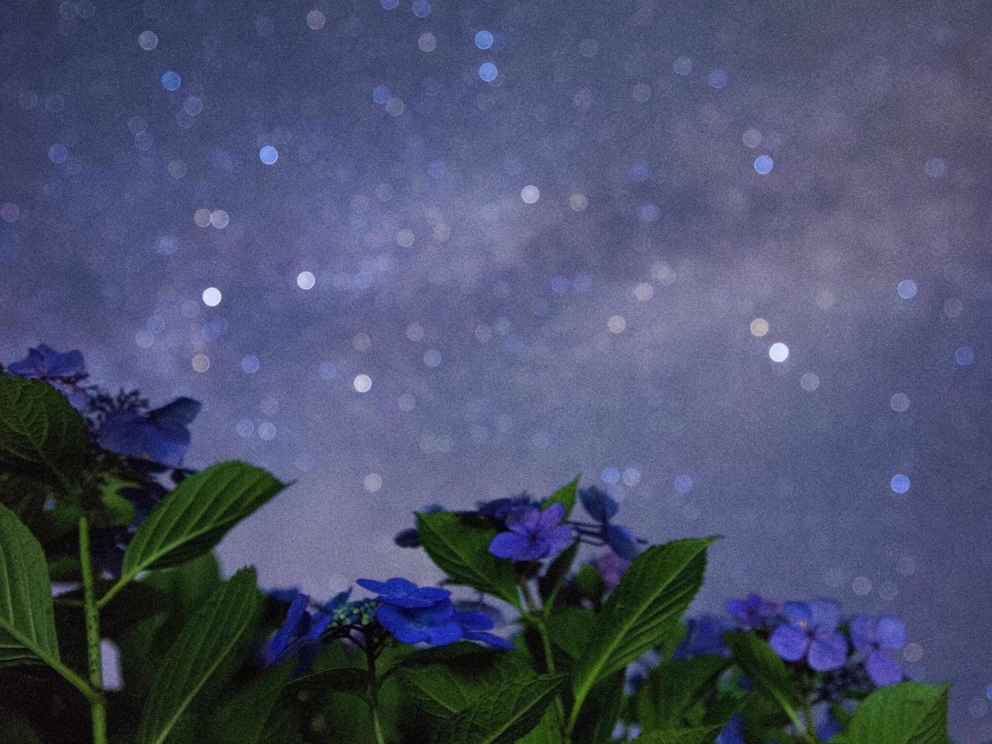 くじゅう花公園　キャンピングリゾート花と星 Kuju ภายนอก รูปภาพ